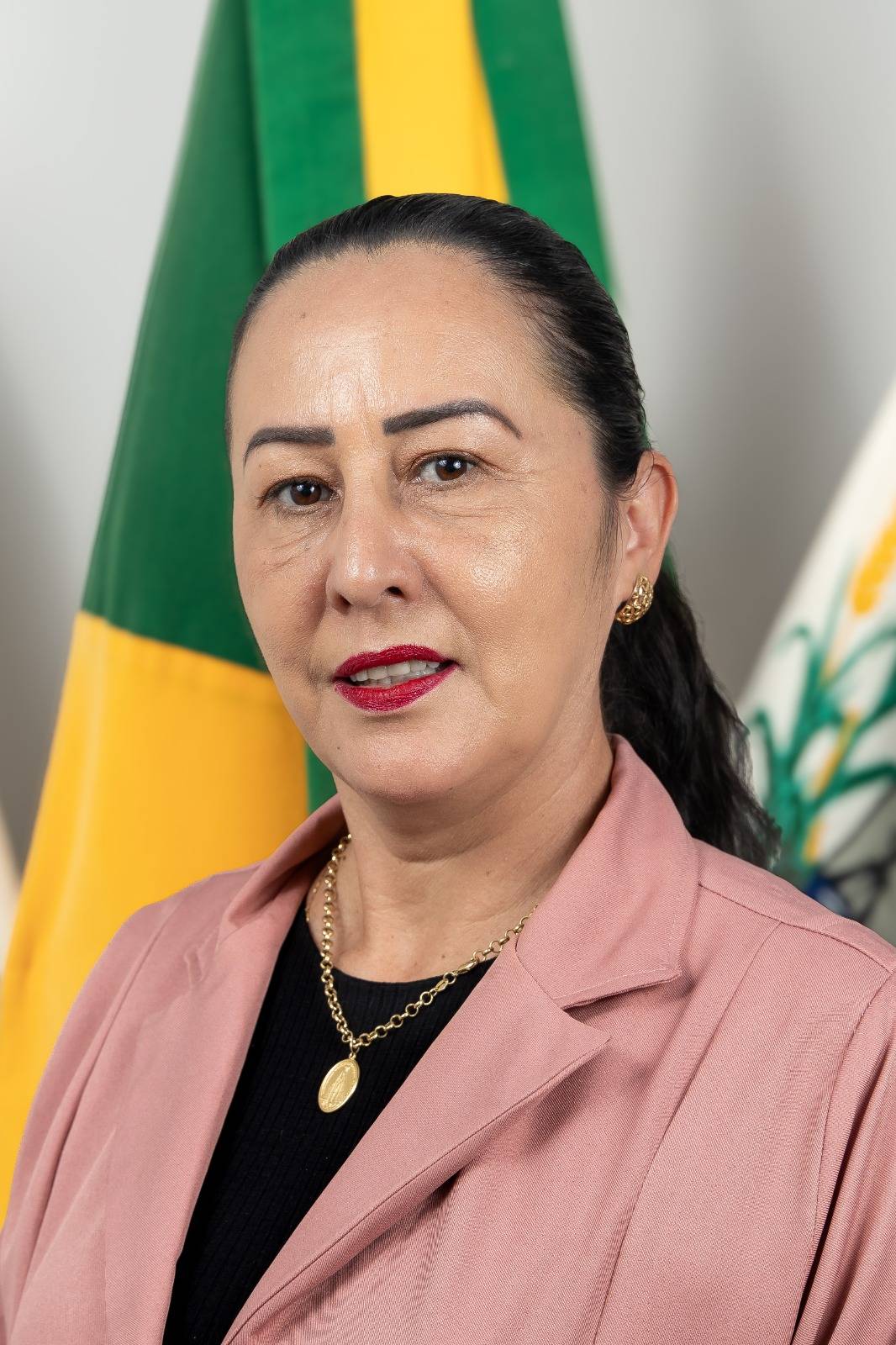 Tereza Aparecida Ribeiro Moreira Ortiz - PSDB